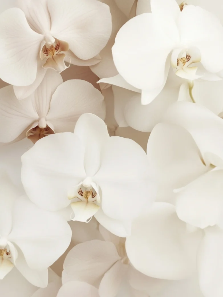 Radiant You Campaign